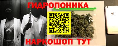 спиды Донской