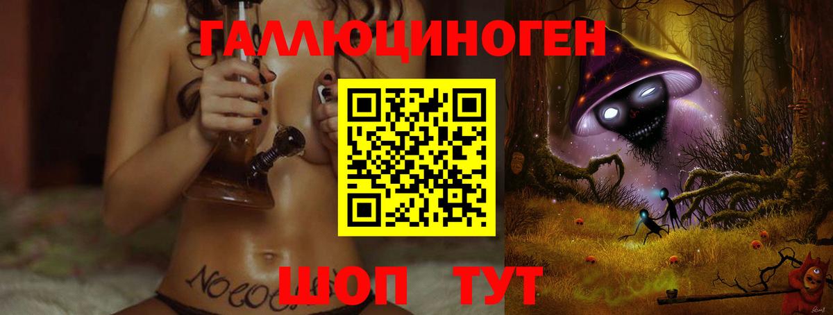 Галлюциногенные грибы прущие грибы Карачаевск
